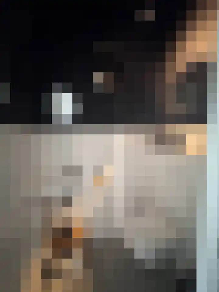 Contrescarp 98 Zutphen thumbnail 7
