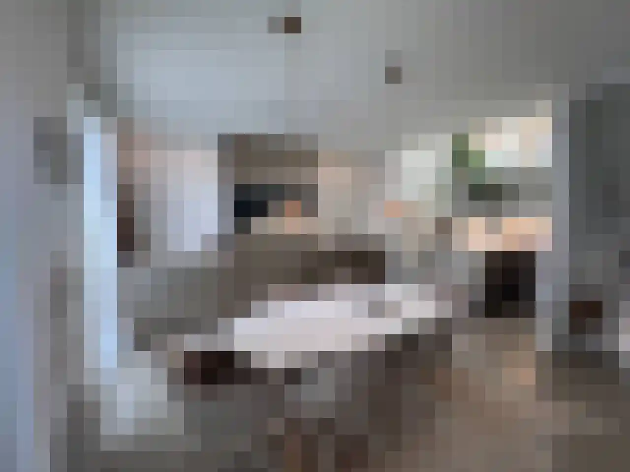 Contrescarp 98 Zutphen thumbnail 9