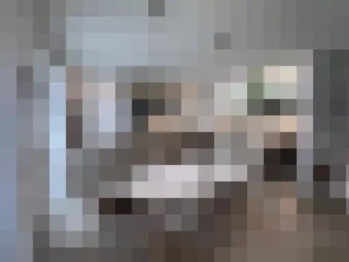 Contrescarp 98 Zutphen thumbnail 9