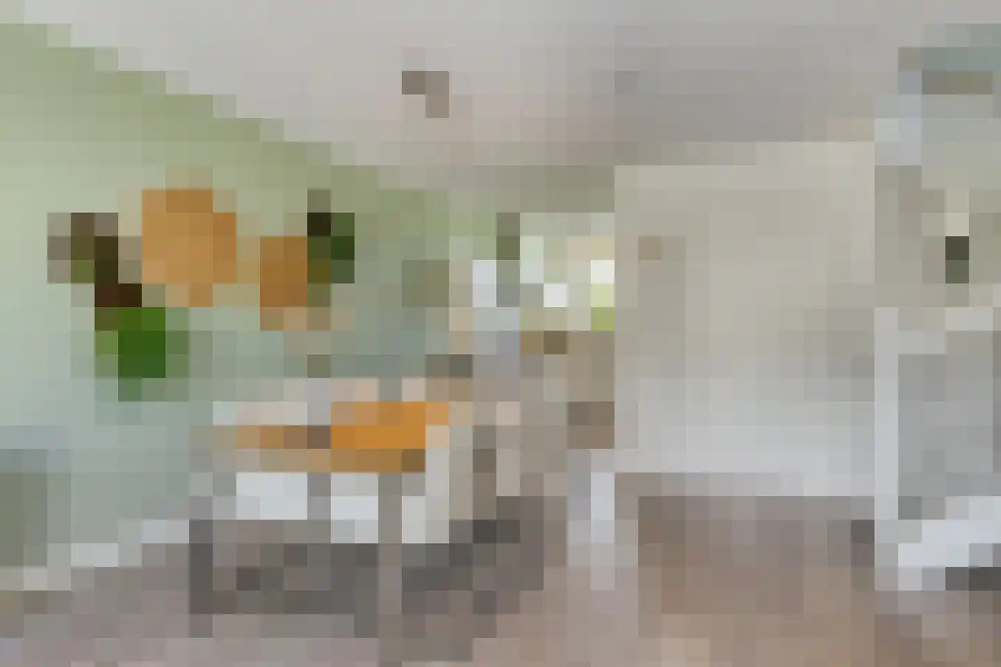 Conusstraat 14 Eindhoven thumbnail 11