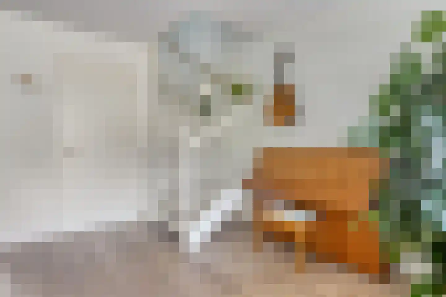 Conusstraat 14 Eindhoven thumbnail 13