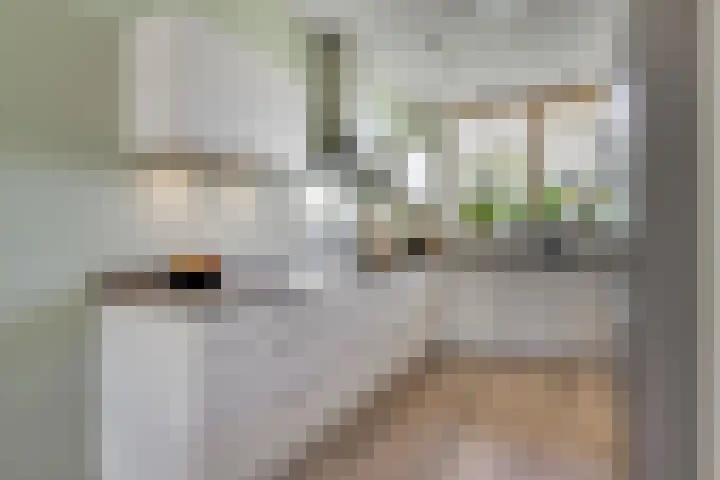 Conusstraat 14 Eindhoven thumbnail 14