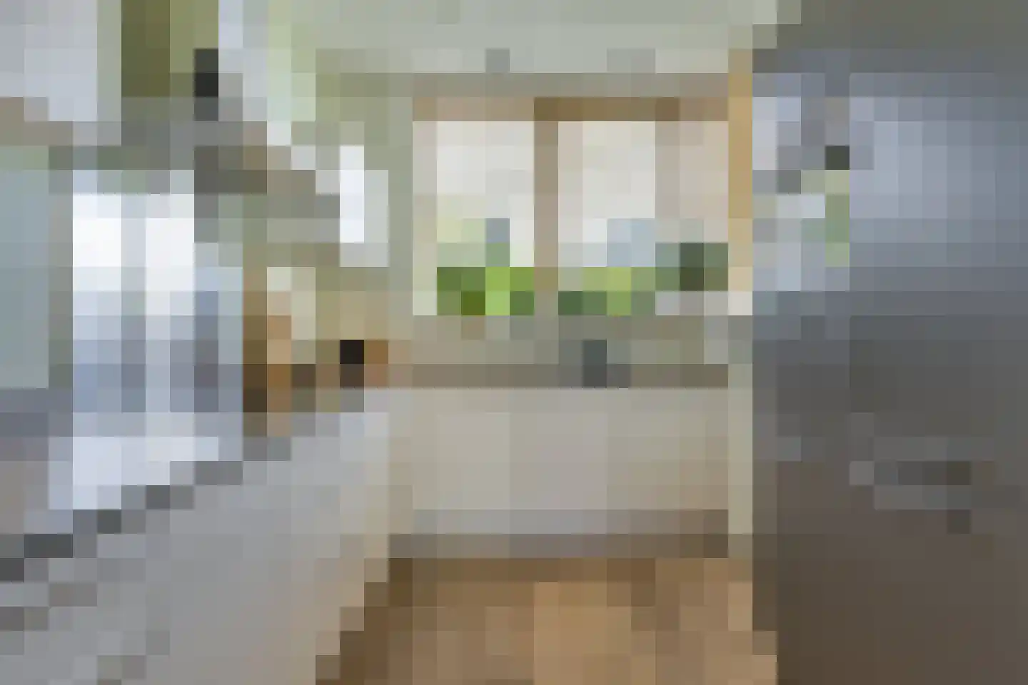 Conusstraat 14 Eindhoven thumbnail 15