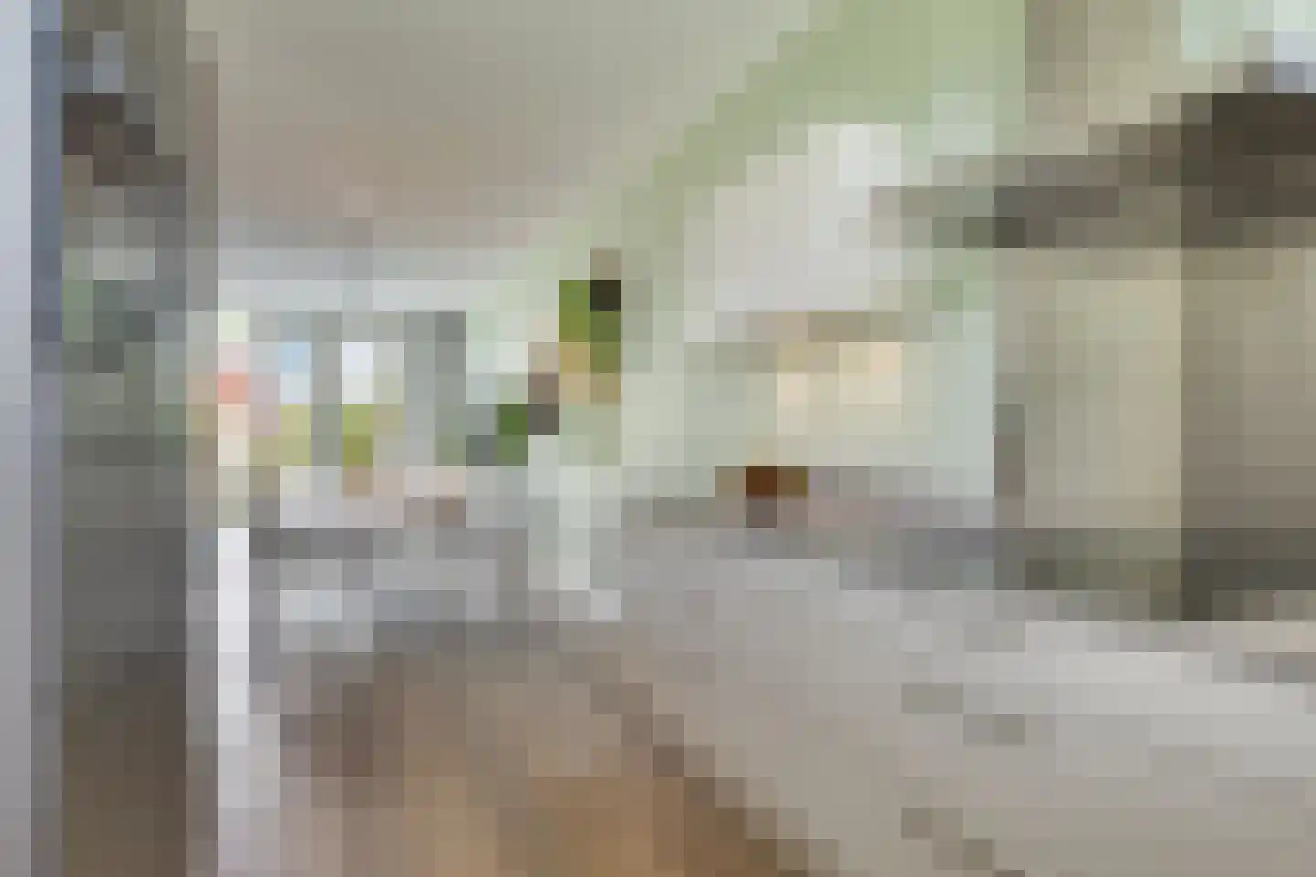 Conusstraat 14 Eindhoven thumbnail 16