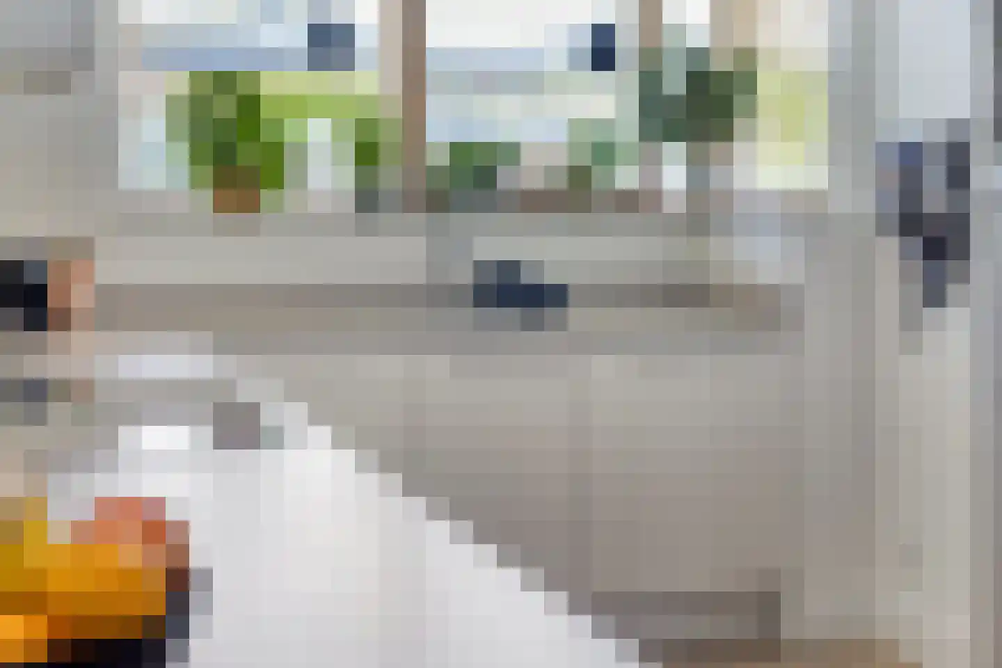 Conusstraat 14 Eindhoven thumbnail 20