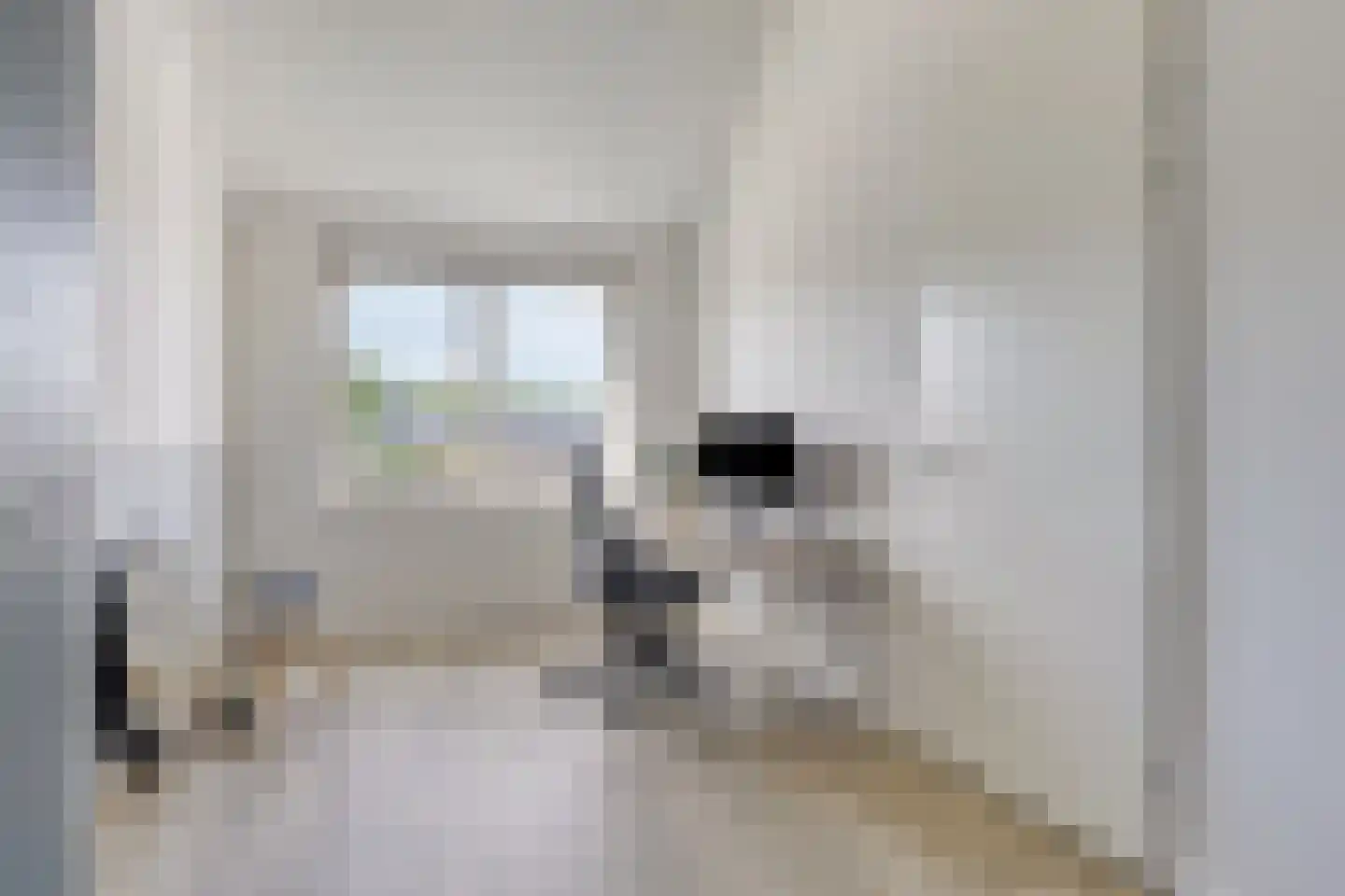 Conusstraat 14 Eindhoven thumbnail 32