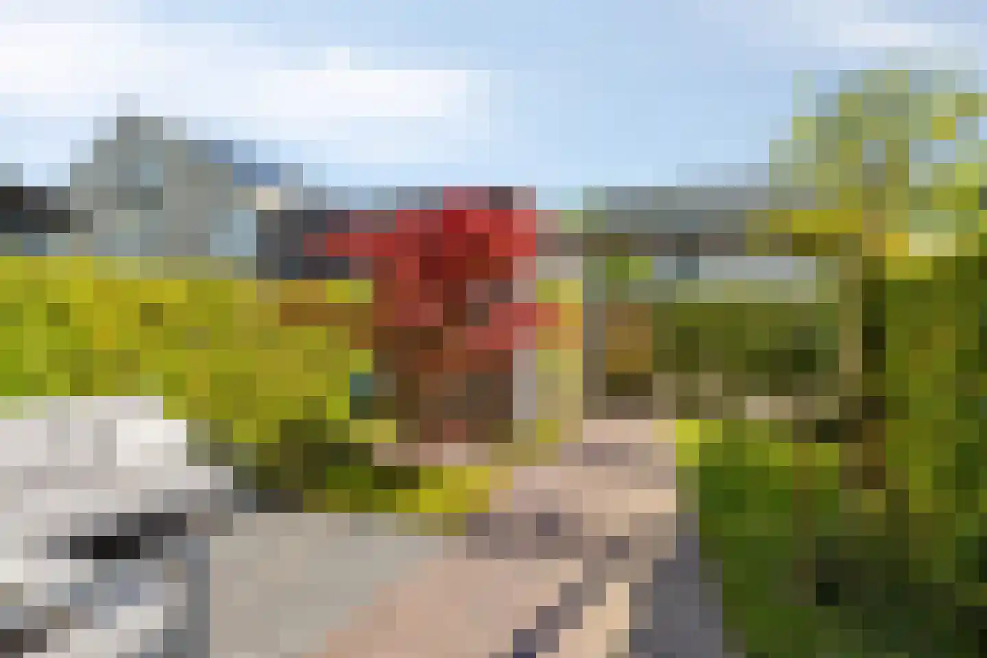 Conusstraat 14 Eindhoven thumbnail 37