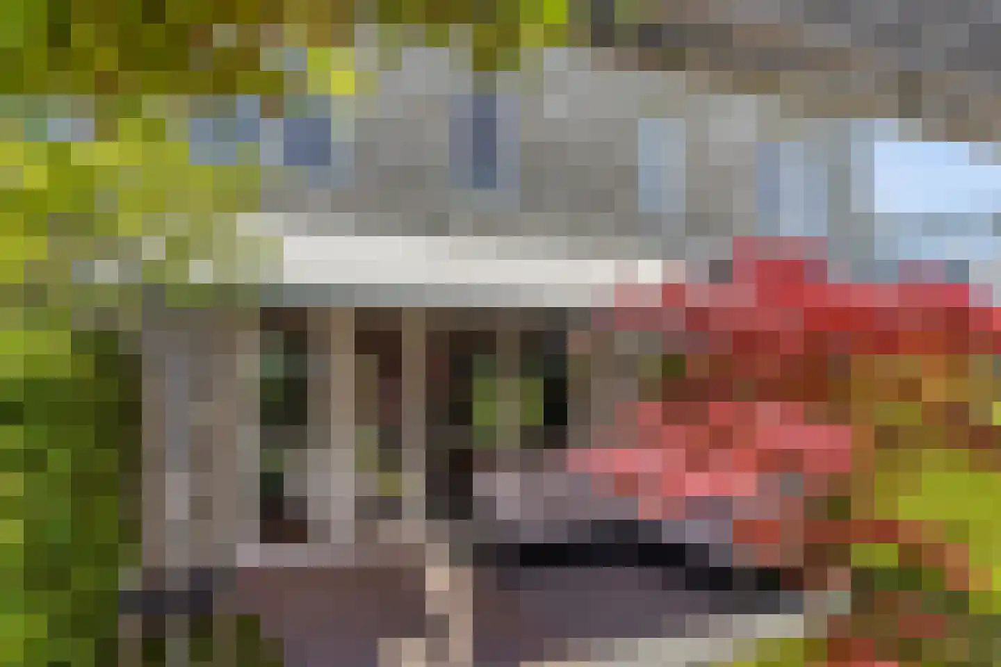 Conusstraat 14 Eindhoven thumbnail 42
