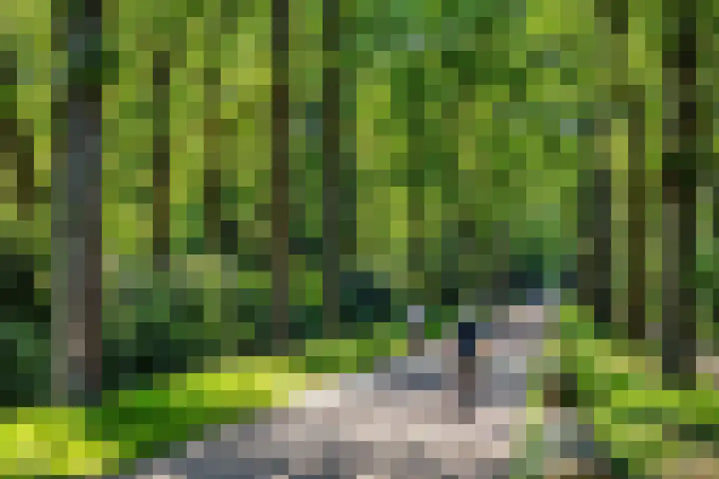Conusstraat 14 Eindhoven thumbnail 52