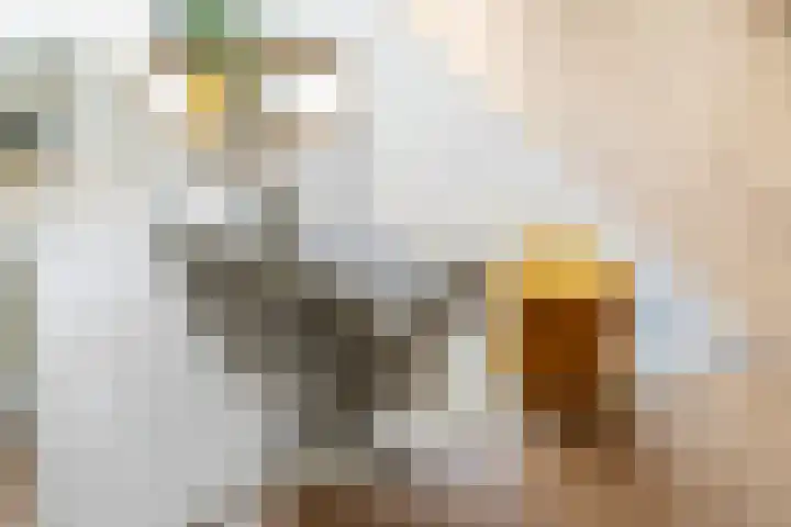 Conusstraat 6 Eindhoven thumbnail 11