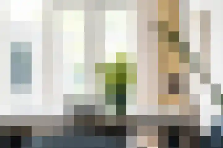 Conusstraat 6 Eindhoven thumbnail 14