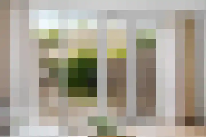 Conusstraat 6 Eindhoven thumbnail 18