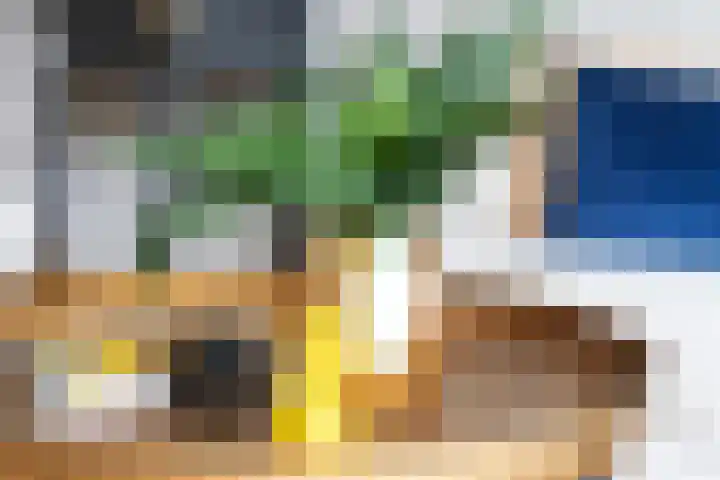 Conusstraat 6 Eindhoven thumbnail 20
