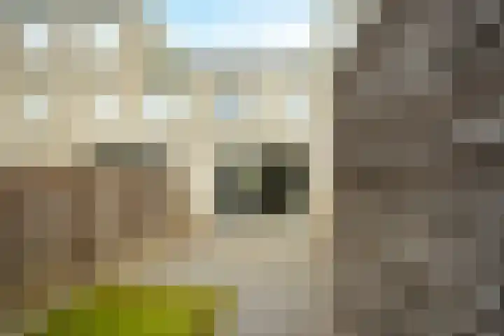 Conusstraat 6 Eindhoven thumbnail 34