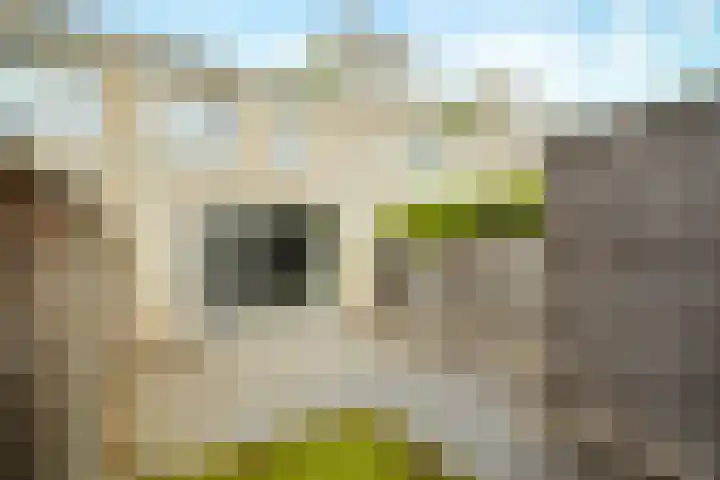 Conusstraat 6 Eindhoven thumbnail 35