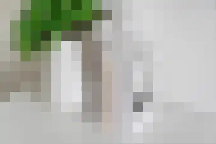 Conusstraat 6 Eindhoven thumbnail 61