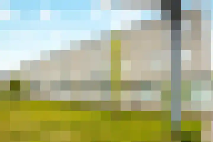 Conusstraat 6 Eindhoven thumbnail 7