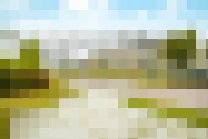Conusstraat 6 Eindhoven thumbnail 70