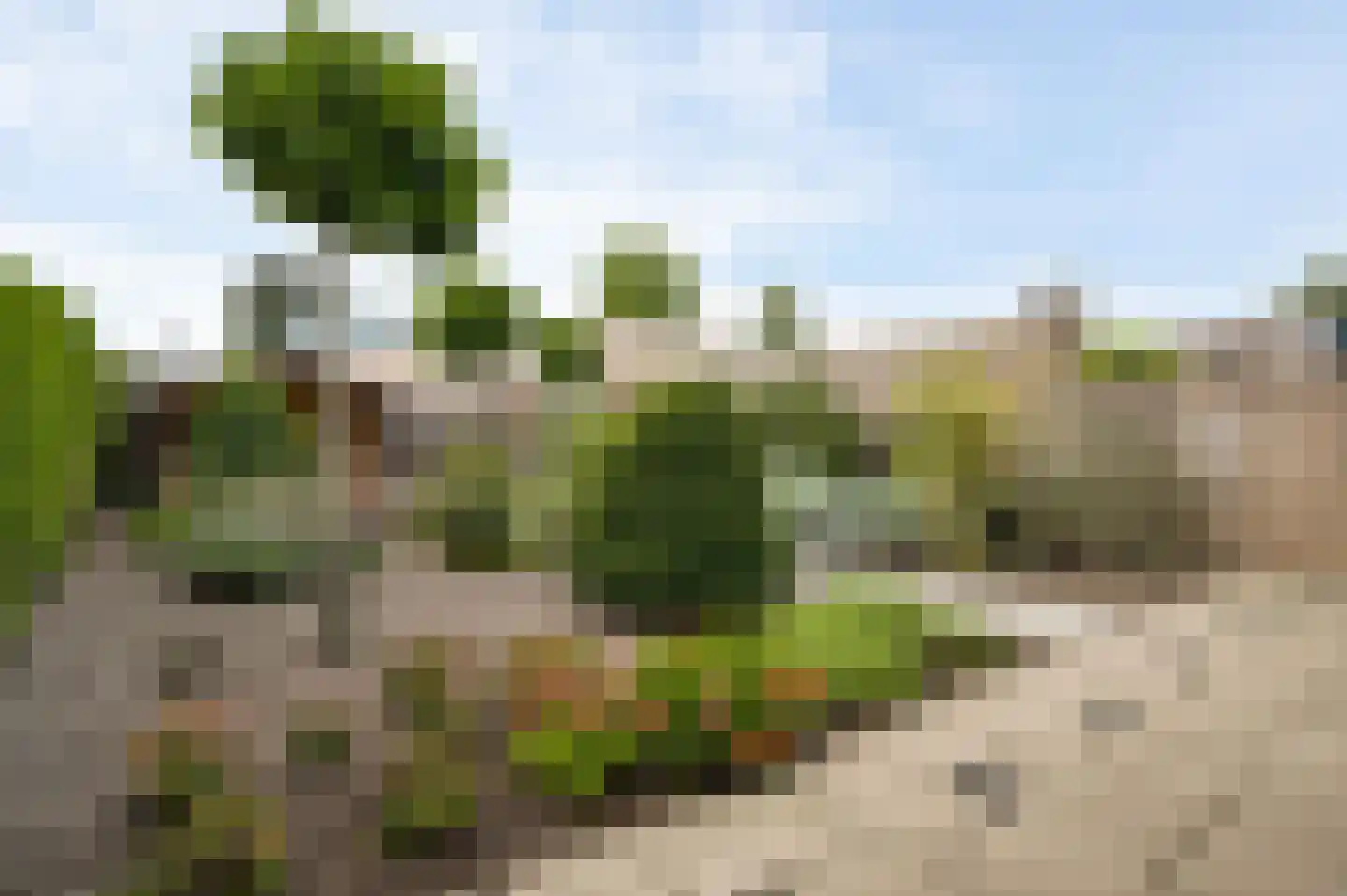 Convent 17 Horst thumbnail 32