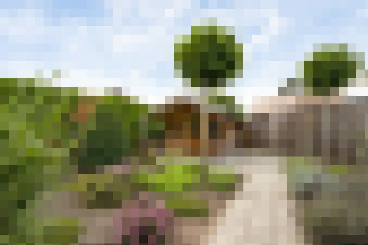 Convent 17 Horst thumbnail 6