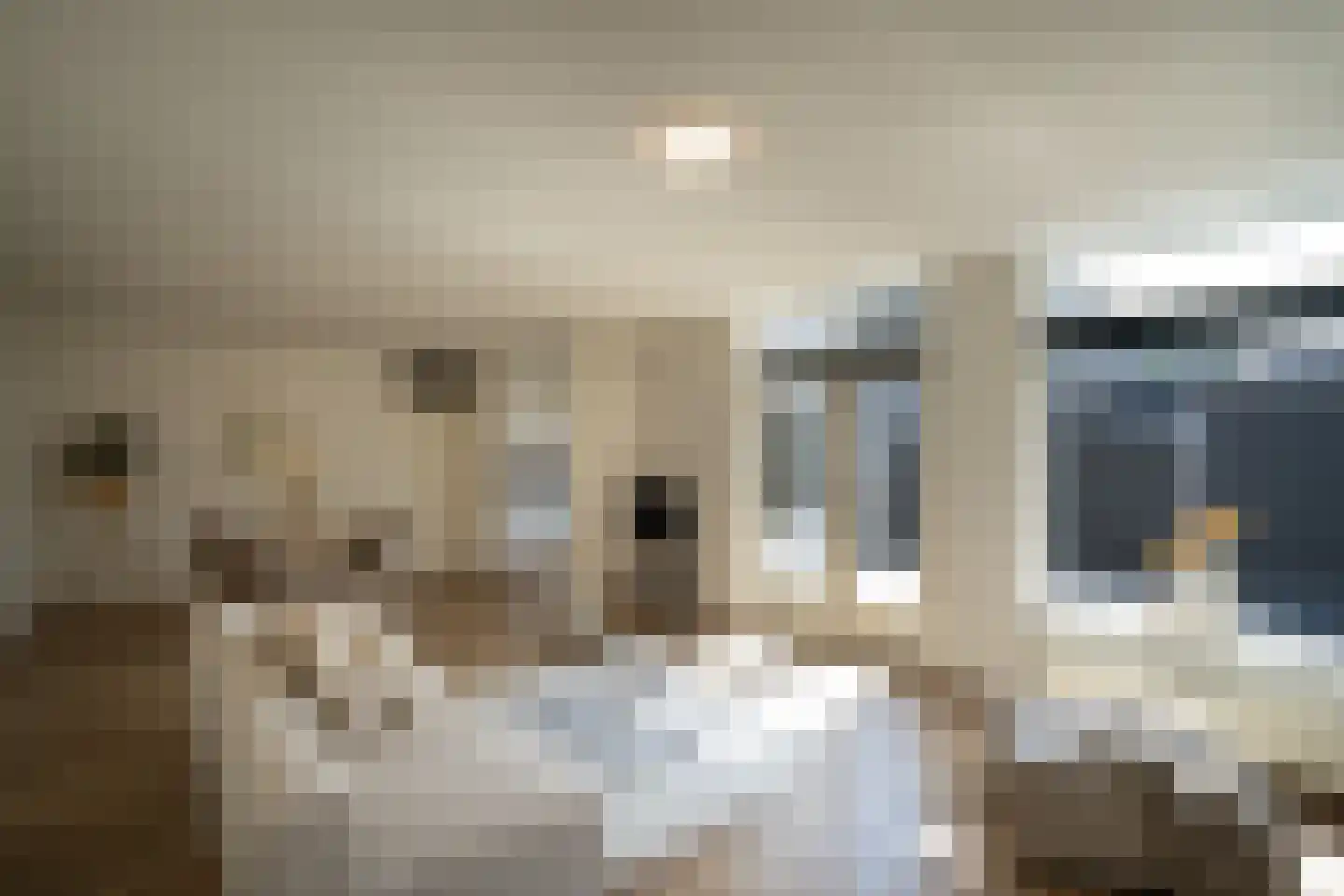 Convent 46 Horst thumbnail 23