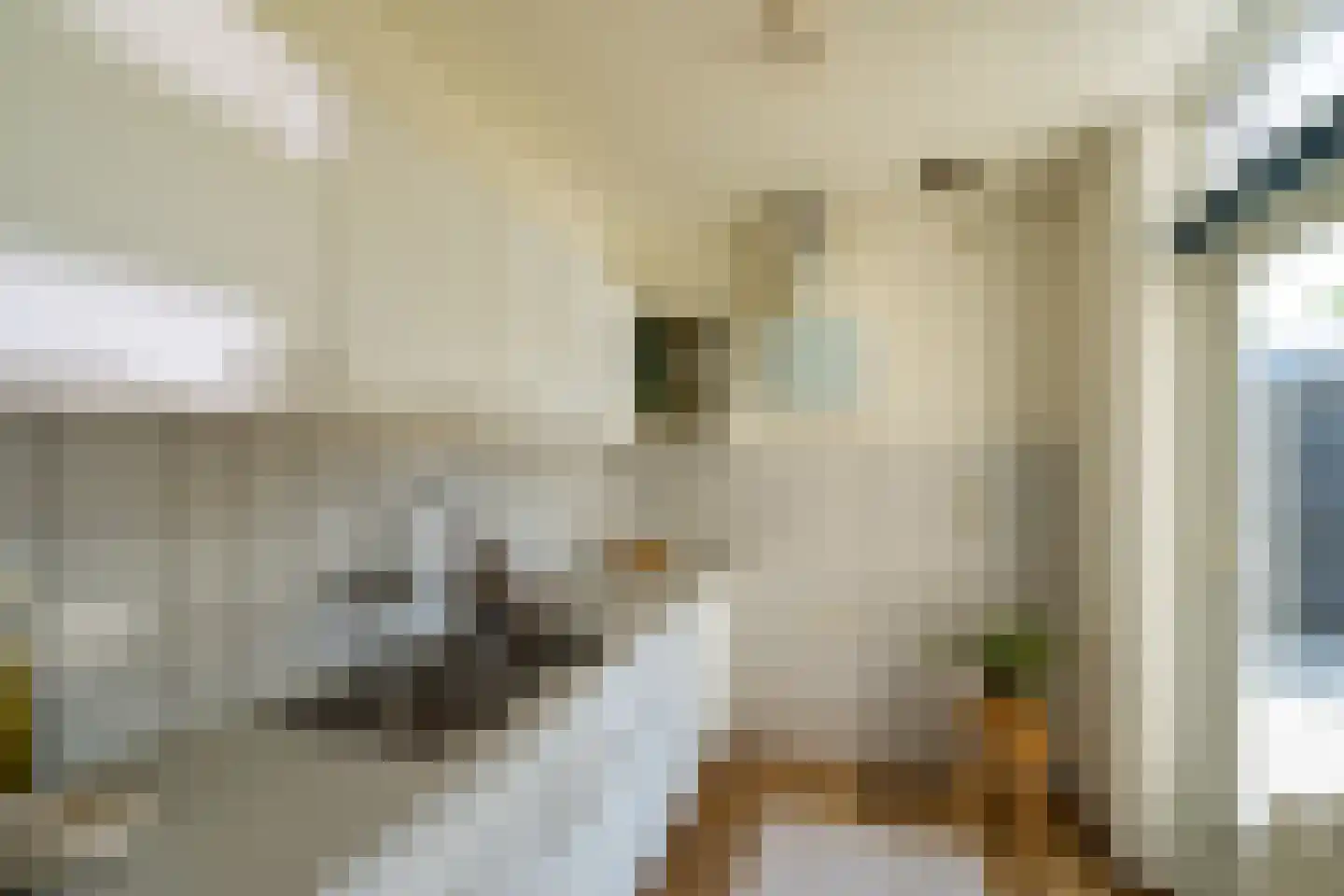 Convent 46 Horst thumbnail 30