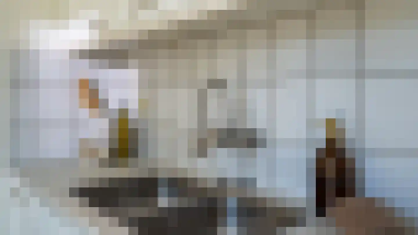 Convent 46 Horst thumbnail 31