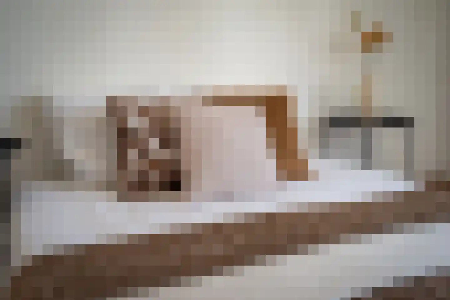 Convent 46 Horst thumbnail 33