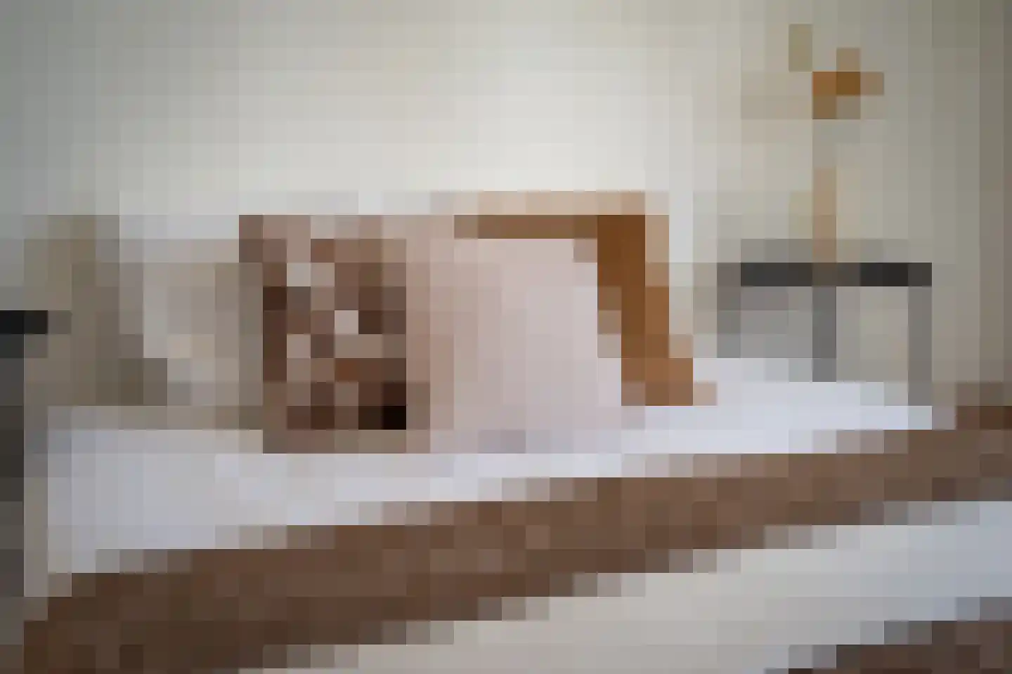 Convent 46 Horst thumbnail 34