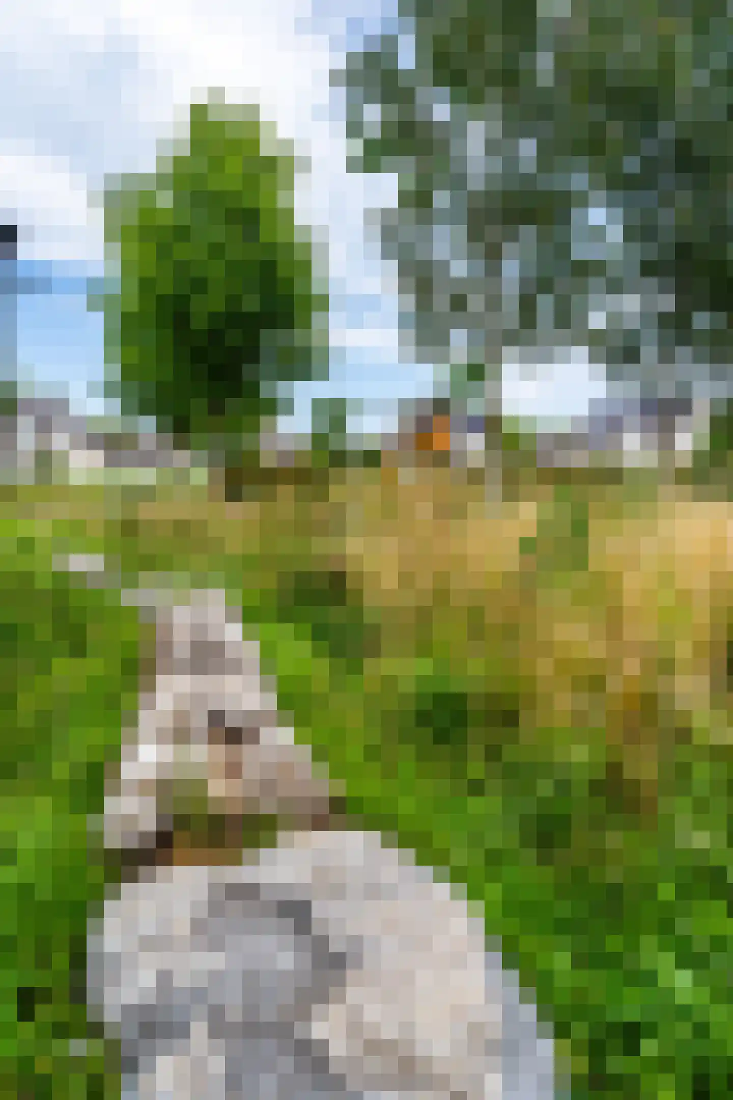 Convent 46 Horst thumbnail 46