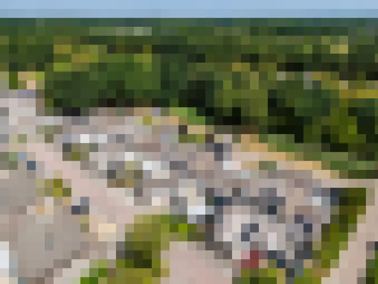 Convent 46 Horst thumbnail 8
