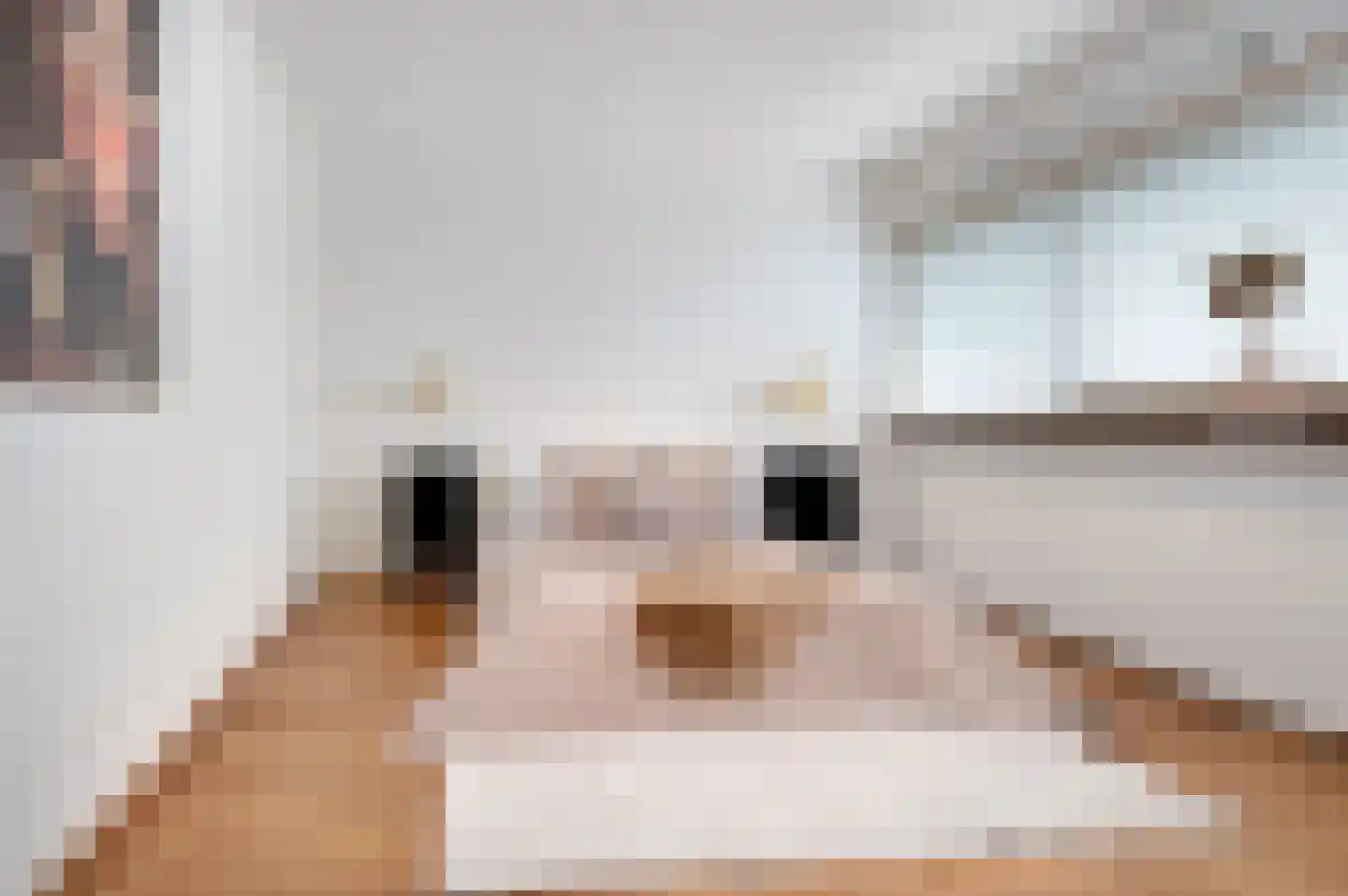 Conventstraat 32 Schijndel thumbnail 4