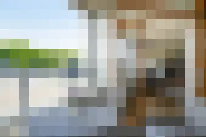 Conventstraat 44 Schijndel thumbnail 7