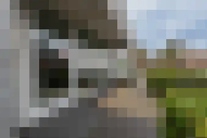 Conventstraat 50 Schijndel thumbnail 8