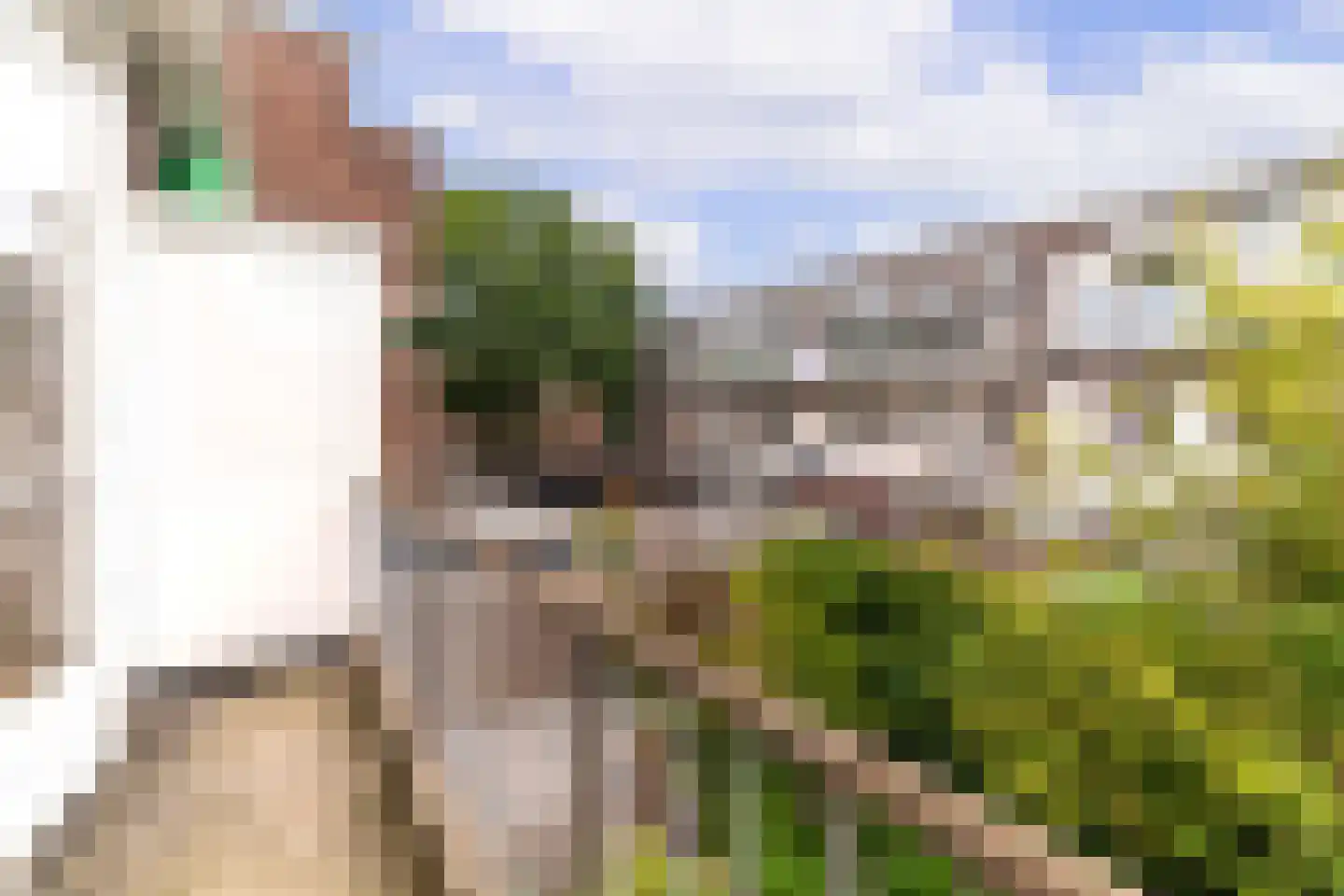 Convivastraat 68 Den Haag thumbnail 19