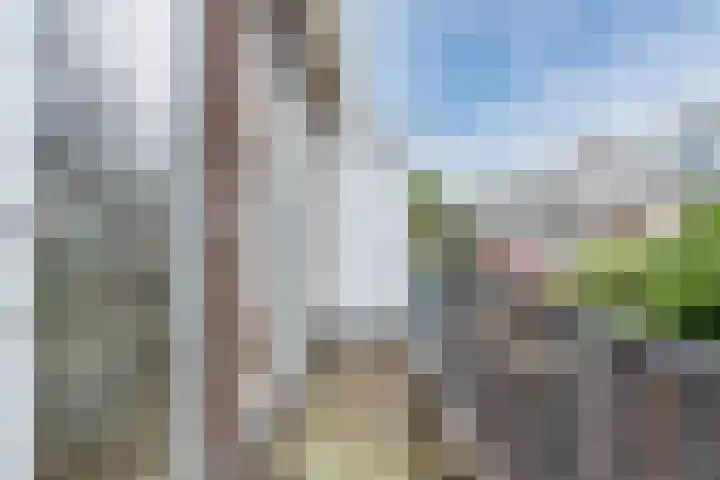 Convivastraat 86 Den Haag thumbnail 11