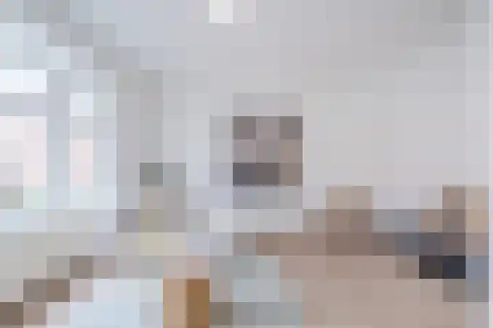 Convivastraat 86 Den Haag thumbnail 4