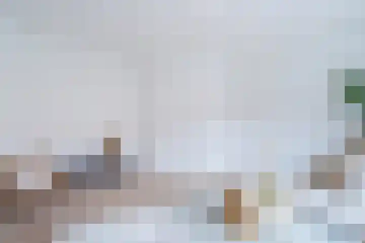 Convivastraat 86 Den Haag thumbnail 6