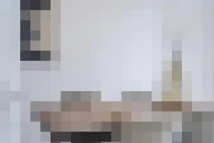 Convivastraat 86 Den Haag thumbnail 7