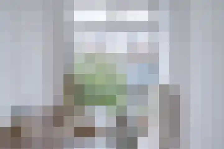 Convivastraat 86 Den Haag thumbnail 9
