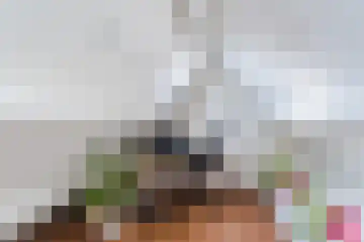 Convivastraat 88 Den Haag thumbnail 14