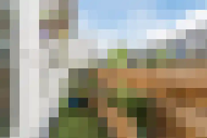 Convivastraat 88 Den Haag thumbnail 16