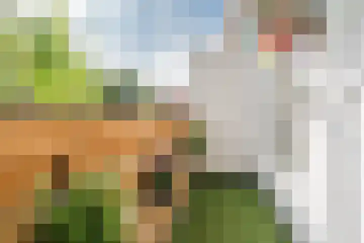Convivastraat 88 Den Haag thumbnail 17