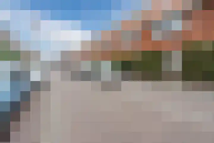 Convivastraat 88 Den Haag thumbnail 20