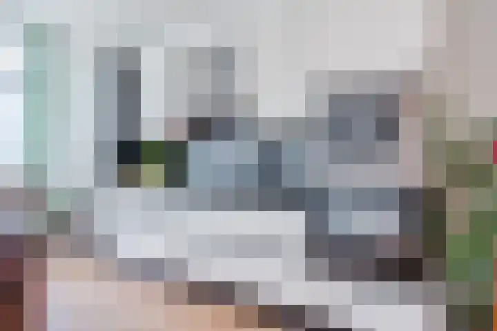Convivastraat 88 Den Haag thumbnail 6