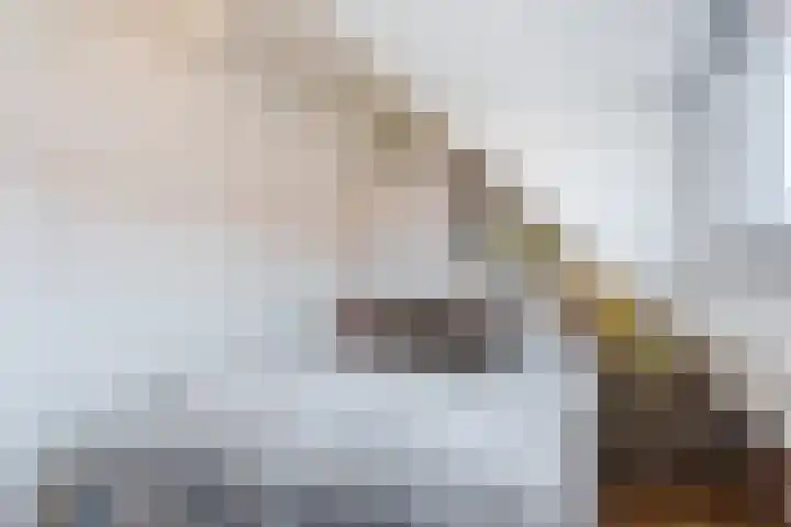 Convivastraat 88 Den Haag thumbnail 8