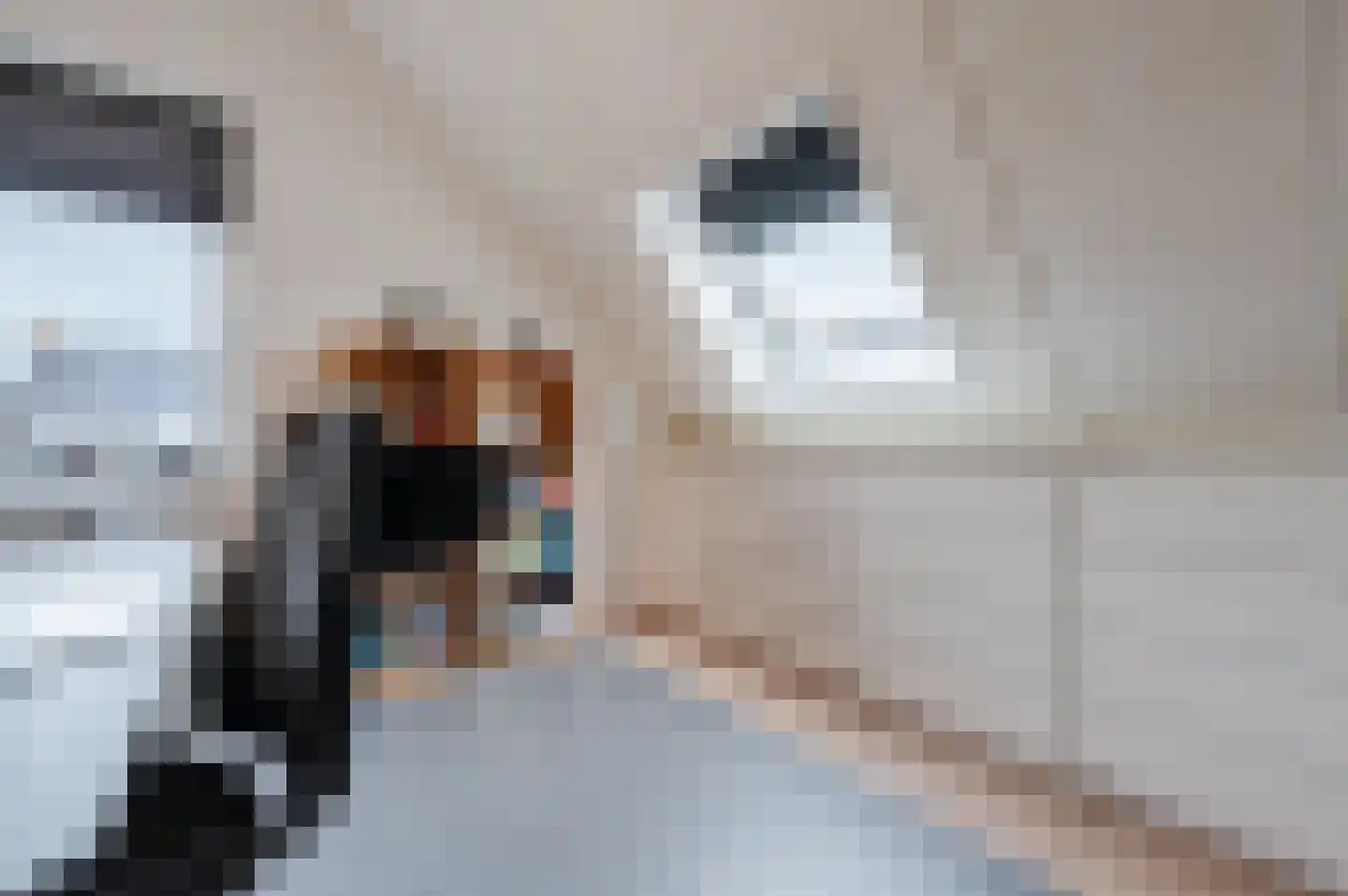 Coolendonk 28 Helmond thumbnail 25