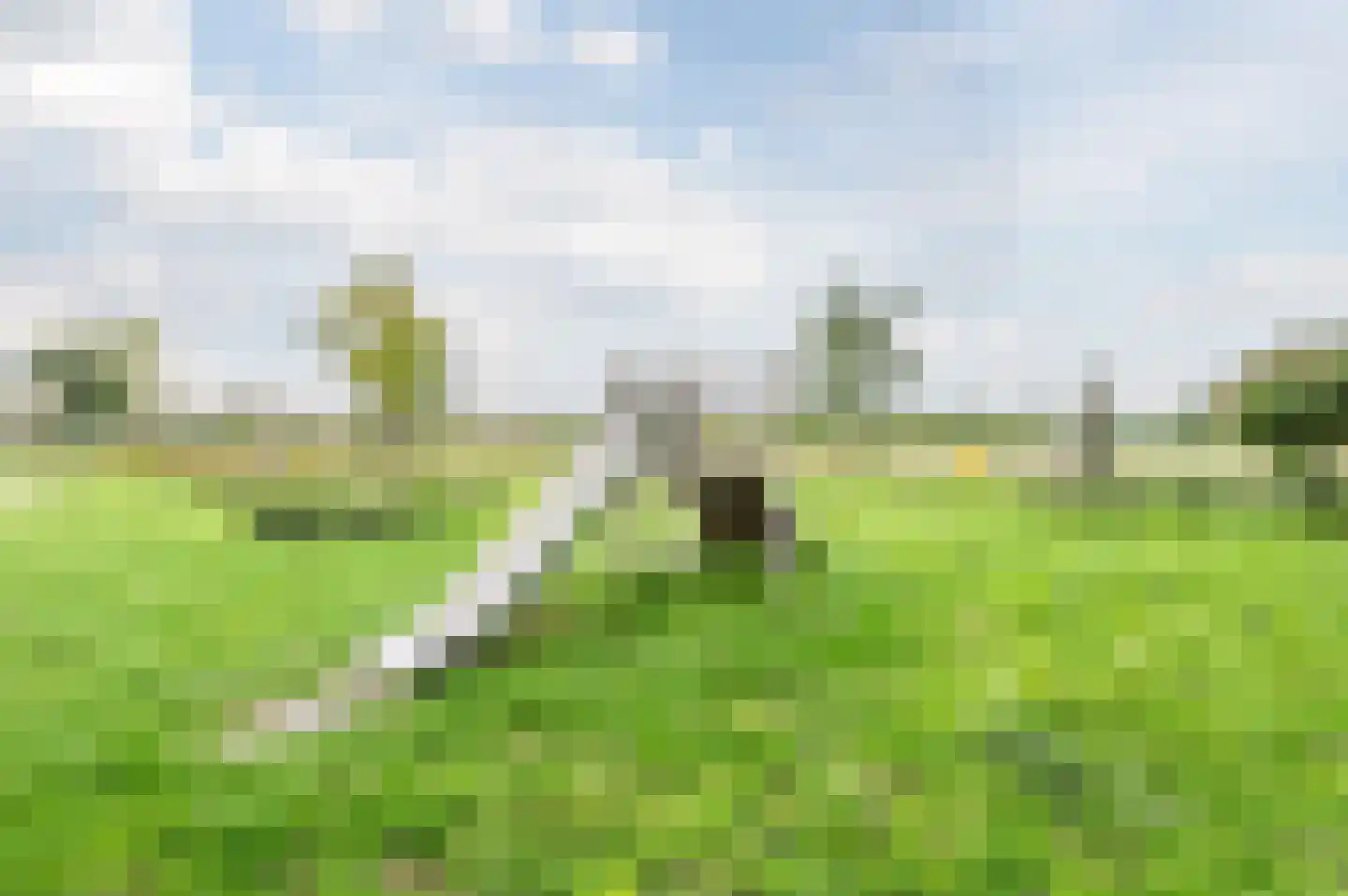 Coolendonk 28 Helmond thumbnail 33