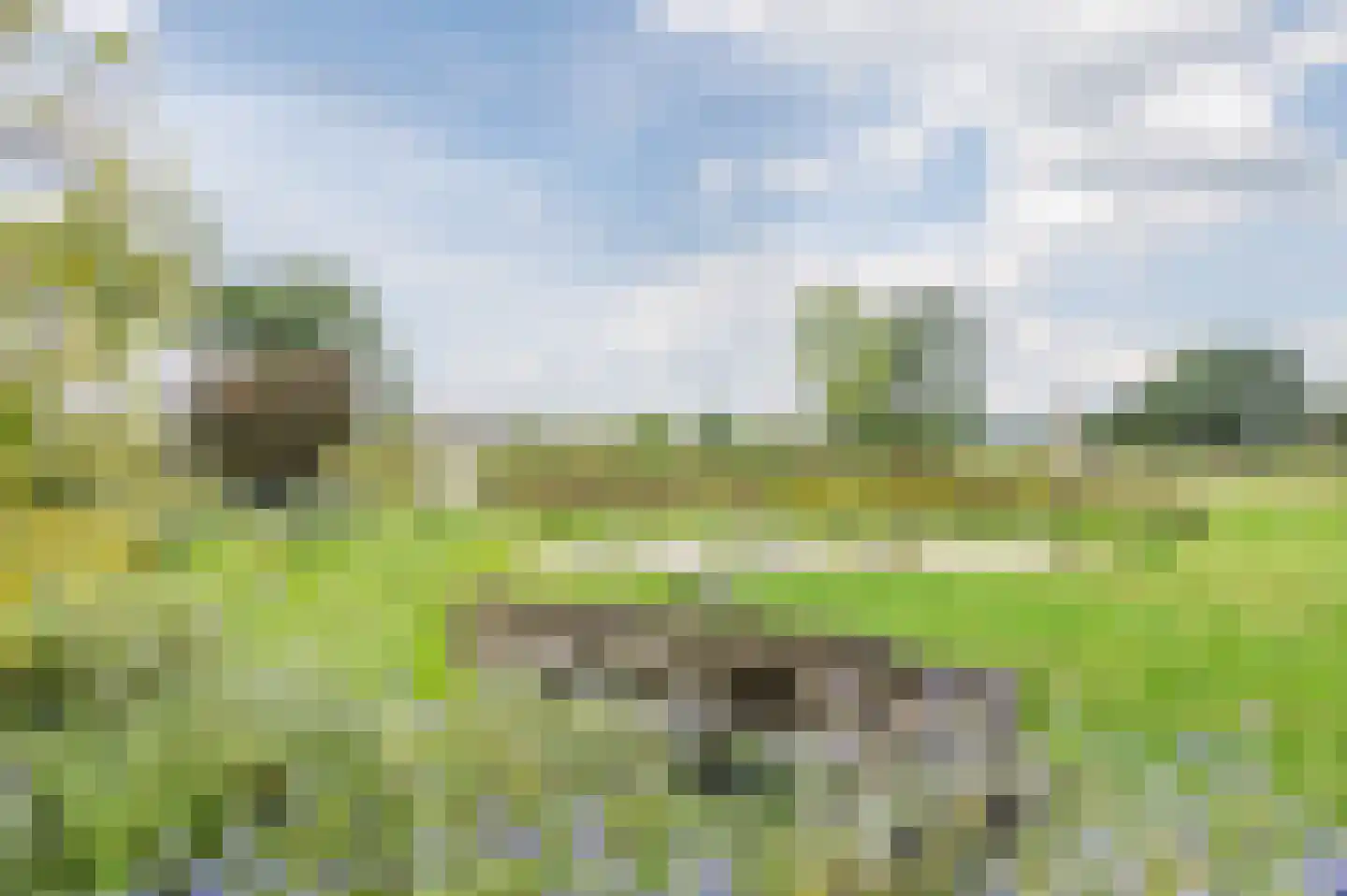 Coolendonk 28 Helmond thumbnail 35