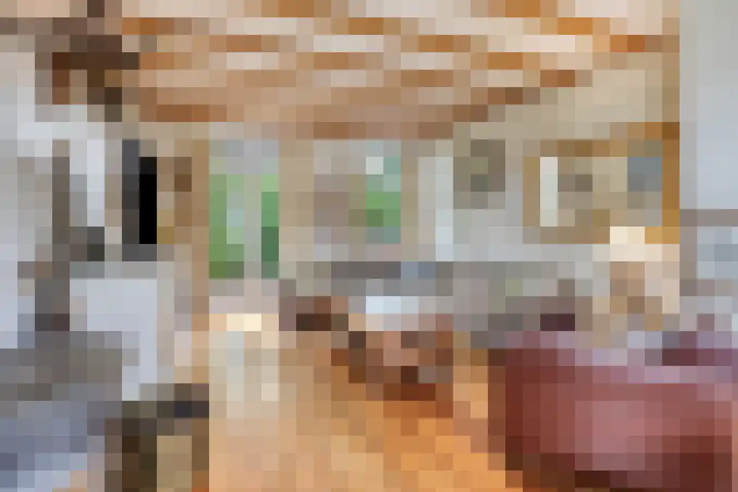 Coolenstraat 24 Weert thumbnail 7